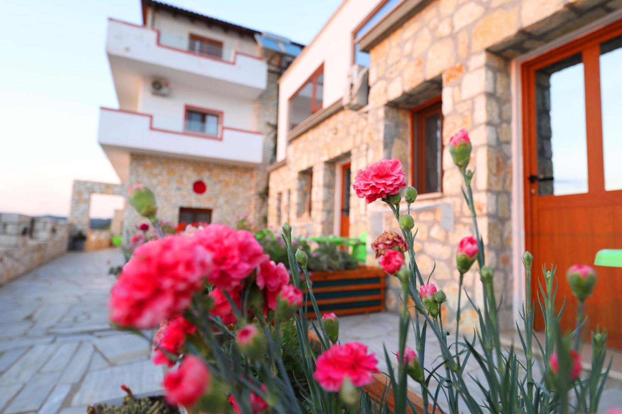 Vila Dena Vlorë Exteriér fotografie